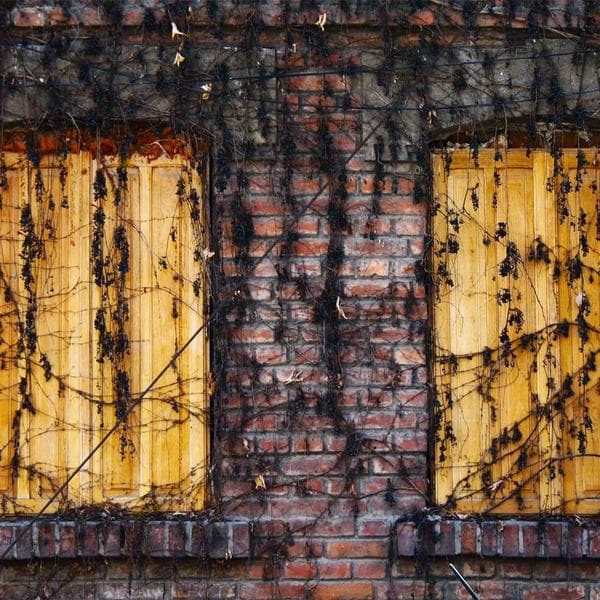 Samsung Air Purifier HEPA