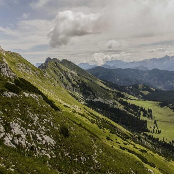 Sony Fitness Tracker Band