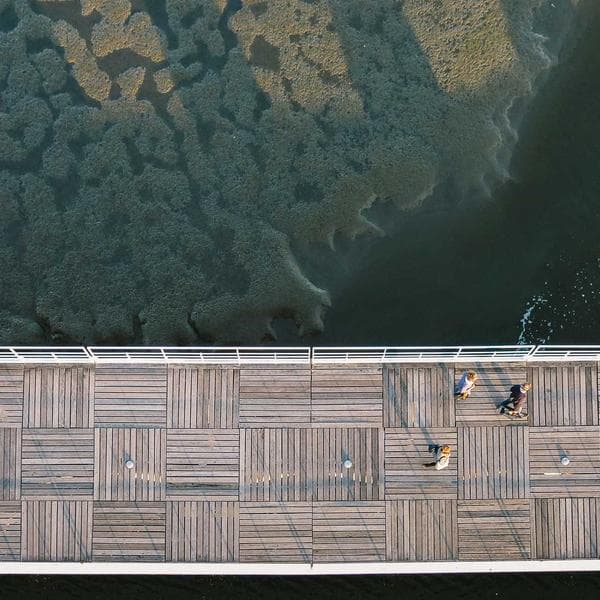 Dell Portable Projector