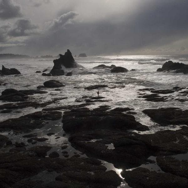 Apple Graphics Tablet Draw