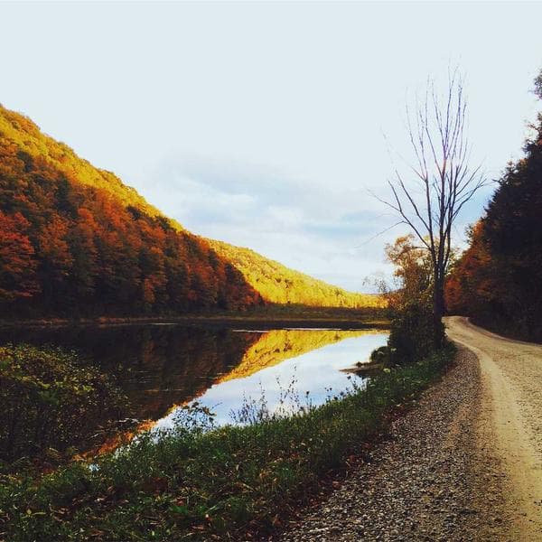 Sony Wireless Presenter